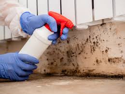 Best Real Estate Mold Inspection  in Wilmington, NC